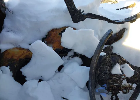 2021 Dodge Charger Sxt Awd z USA, uszkodzony, nr VIN 2C3CDXJG5MH661521